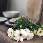 Chateau De Livry, Normandie * Livry (Calvados)