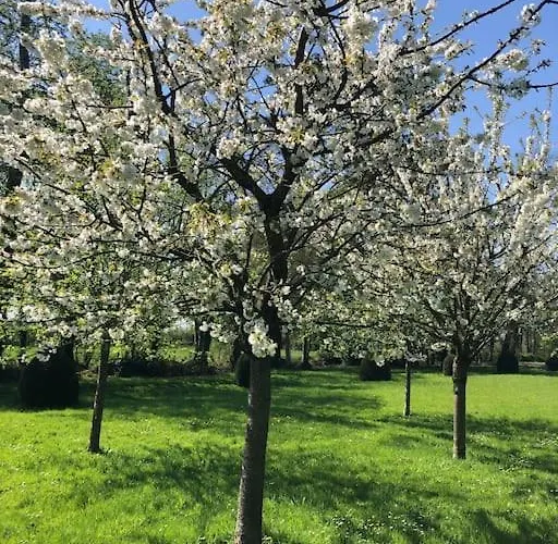 Charming 18th Century Chateau, Near Bayeux In Calvados, Normandie * Livry (Calvados)