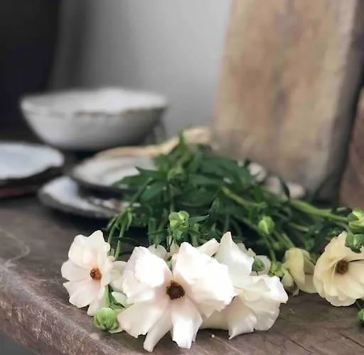 Chateau De Livry, Normandie * Livry (Calvados)